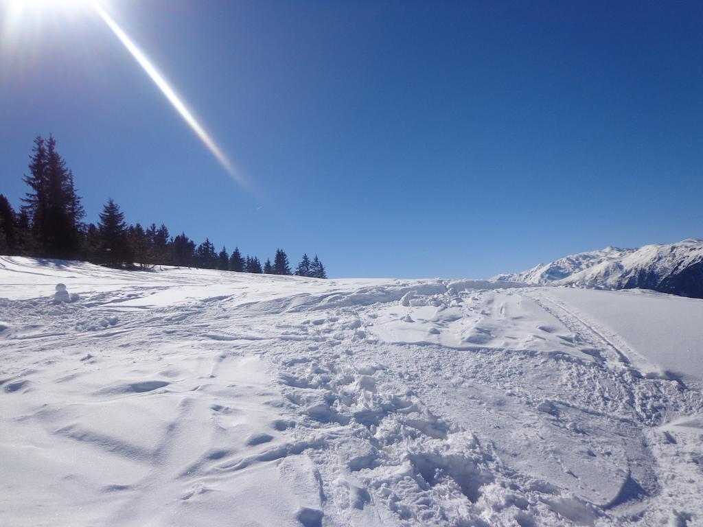 Hanserhof เซลล์ อัม ซิลลา ภายนอก รูปภาพ