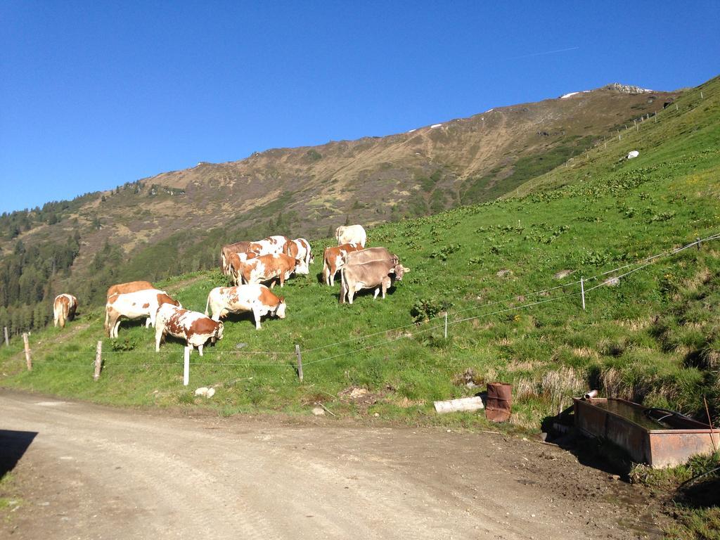 Hanserhof เซลล์ อัม ซิลลา ภายนอก รูปภาพ