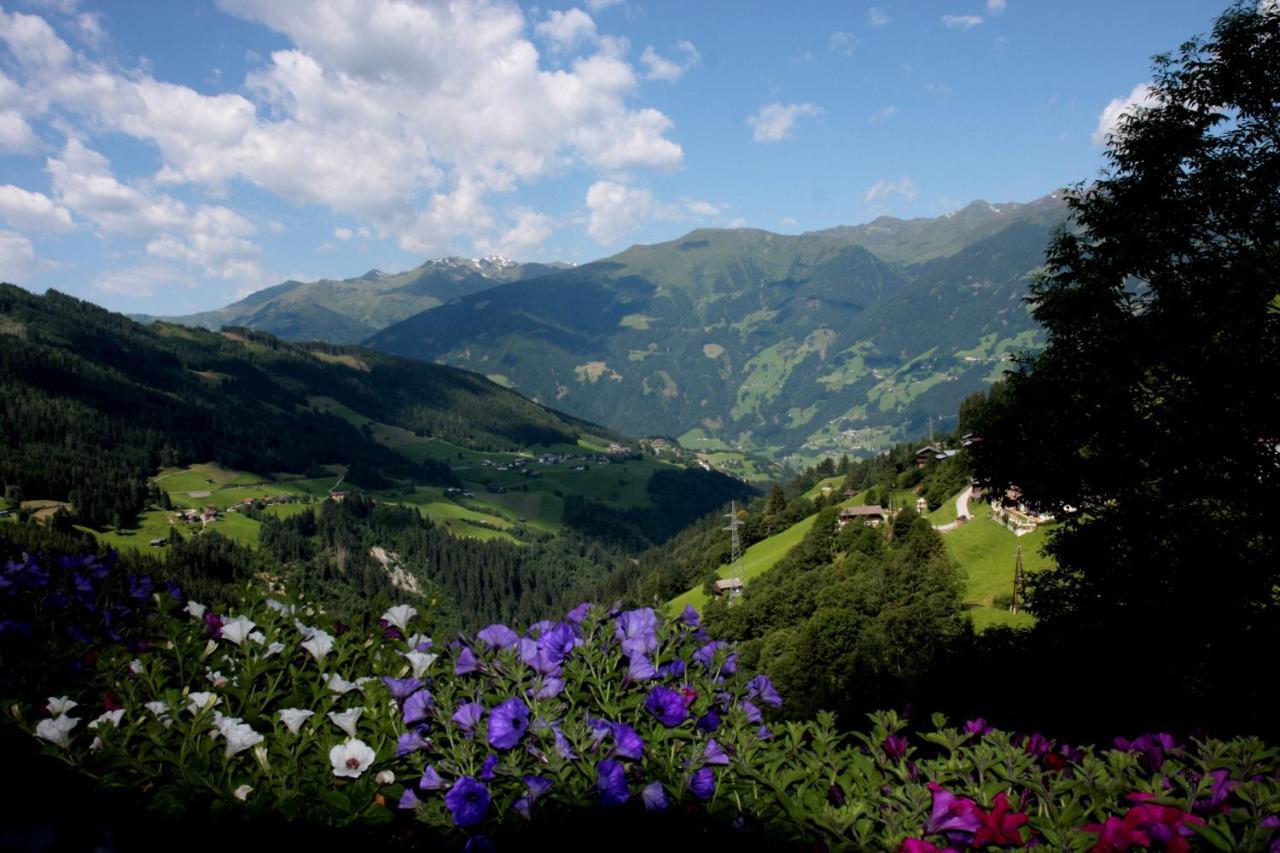 Hanserhof เซลล์ อัม ซิลลา ภายนอก รูปภาพ